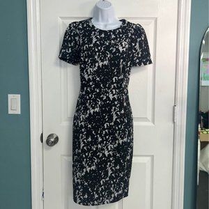 Calvin Klein Dress 10